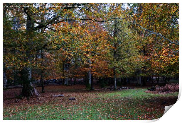 Vibrant Autumn Woods Print by Derek Daniel