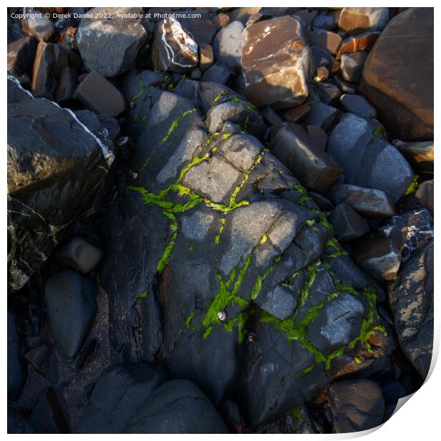 Rocks at Hartland Quay Print by Derek Daniel