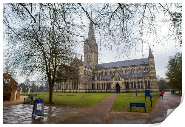 Majestic Salisbury Cathedral Print by Derek Daniel