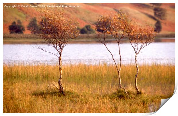 Serene Autumn Lake District Scene Print by Derek Daniel