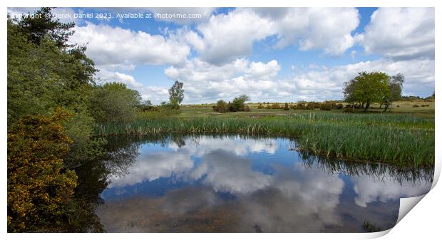 Tranquil Waters of Hatchet Pond Print by Derek Daniel