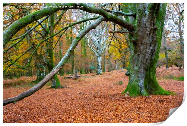 Enchanting Autumn Woodland Print by Derek Daniel