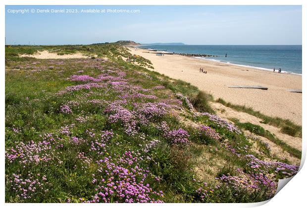 Sea Thrift above Southbourne beach Print by Derek Daniel