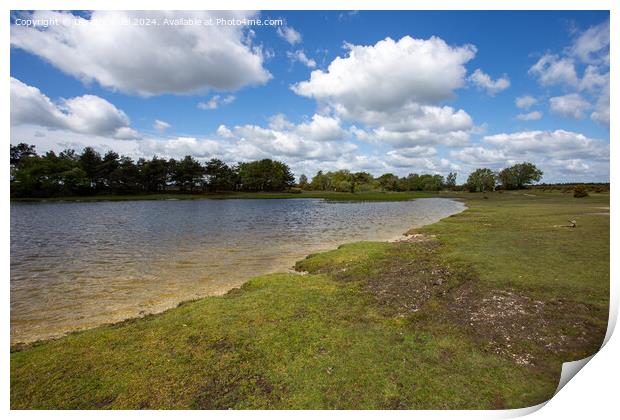 Hatchet Pond, Beaulieu, Hampshire Print by Derek Daniel