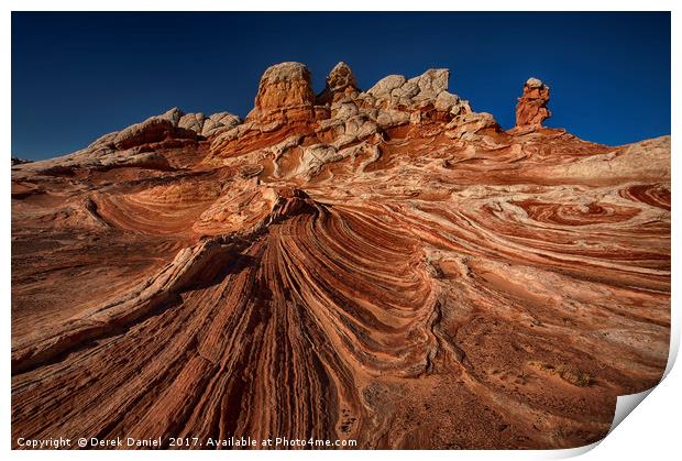 Delicate Fins and Ridges Print by Derek Daniel