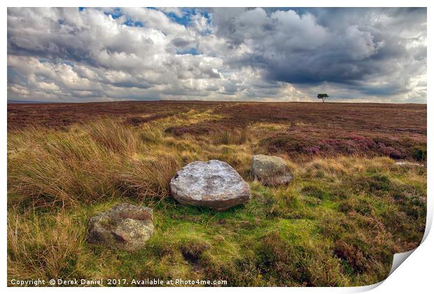 3 Stones and a Tree Print by Derek Daniel