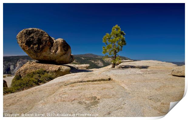 Rock and Tree Print by Derek Daniel