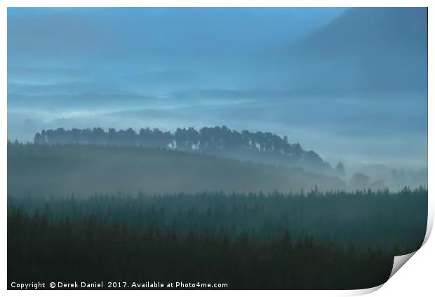 Feshiebridge Forest, Cairngorms Print by Derek Daniel