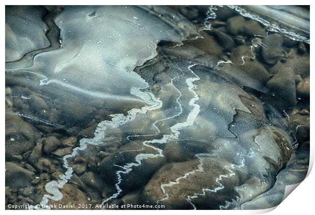Ice Patterns Print by Derek Daniel