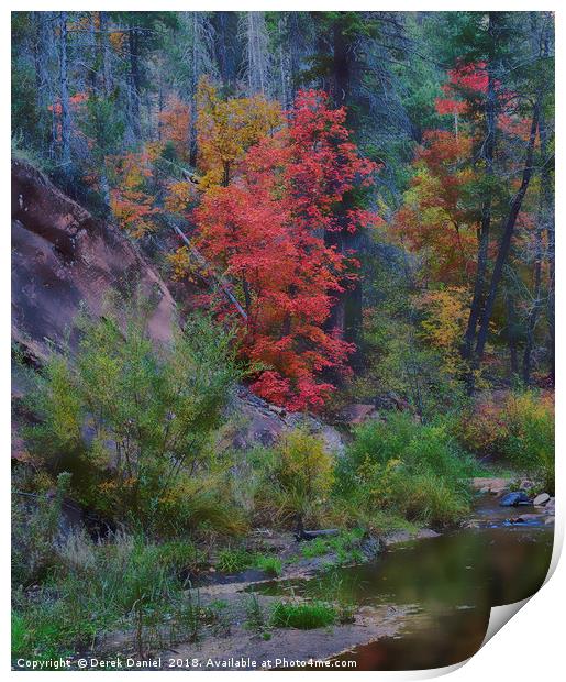 Oak Creek Canyon Print by Derek Daniel