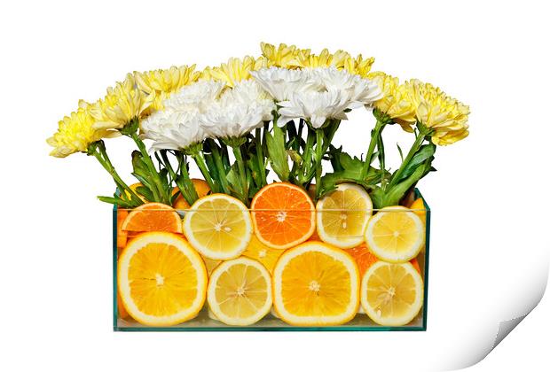 Floral still life in an aquarium with orange and lemon slices, isolated on white background. Print by Sergii Petruk