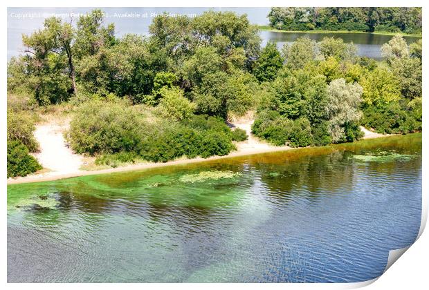 Along the river bank on the surface, the water is covered with a film of blue-green algae. Copy space. Print by Sergii Petruk