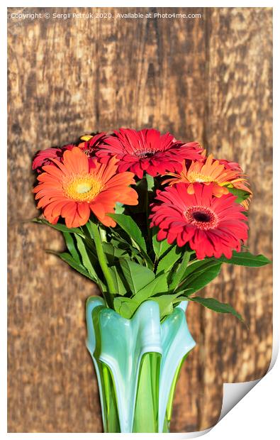 Beautiful bouquet of gerberas in a glass colored vase on the background of an old vintage wooden wall Print by Sergii Petruk