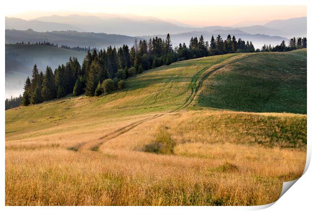 Beautiful scenery of the Carpathian Mountains in the early morning at sunrise and the road passing through the mountain hill Print by Sergii Petruk