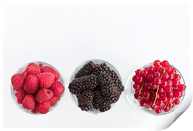 Raspberry, a big black blackberry and red currant are located in clear glass on a light background Print by Sergii Petruk