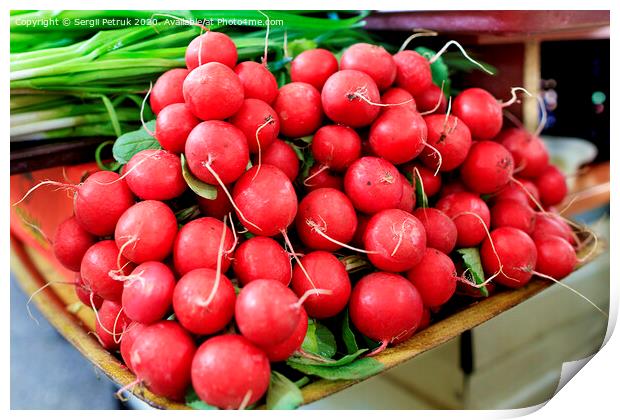 Dry tubers of red radish on the background of green onions in blur. Print by Sergii Petruk