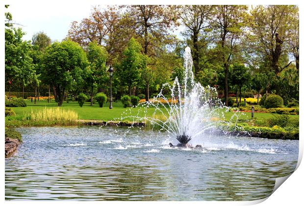 Beautiful fountain in the midst of a spring pond against the backdrop of a picturesque city park Print by Sergii Petruk