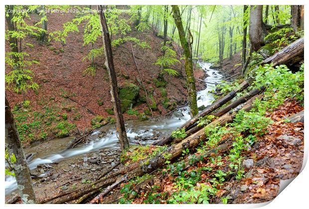 The mountain river flows along the slope of a damp spring forest. Print by Sergii Petruk