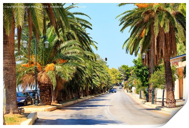 Avenue of date palms along a road on the coast of the Gulf of Corinth in Greece. Print by Sergii Petruk