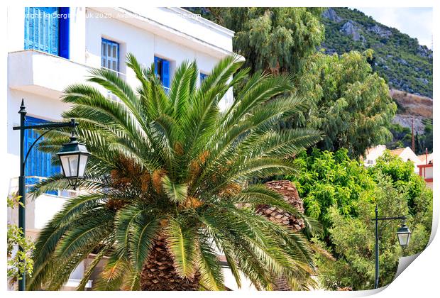 Beautiful landscape of a city street with growing date palm trees near a traditional white Greek house with blue wooden windows and doors. Print by Sergii Petruk