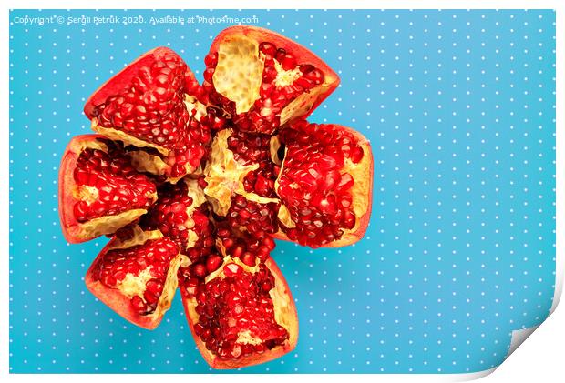 Ripe red pomegranate on a turquoise background with a speck, close-up. Print by Sergii Petruk