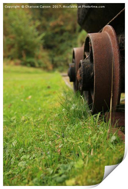 Abandoned Rail Print by Charisse Carson