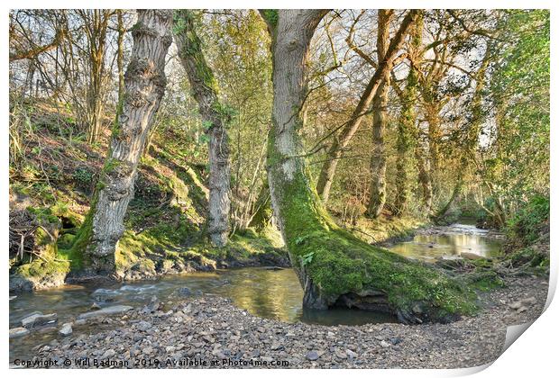 Beautiful Stream in a Village of Horton Somerset Print by Will Badman