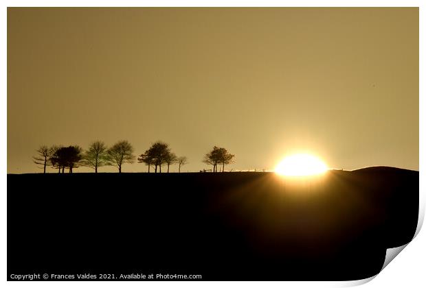 Sunset silhouette, Southdowns Print by Frances Valdes