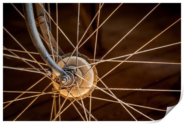 Bicycle Wheel Print by David Belcher