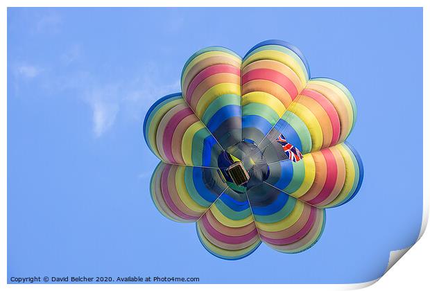 Hot air balloon Print by David Belcher