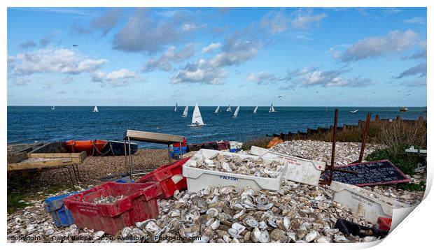 Whitstable oyster shells Print by David Belcher