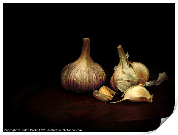 Garlic. Print by Judith Flacke