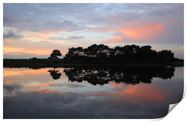 Hatchet Pond at Sunset Print by Ursula Rodgers