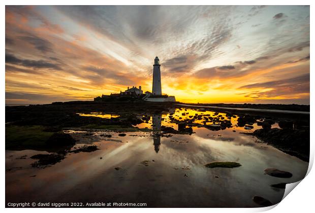St Marys lighthouse sunrise 23rd may Print by david siggens
