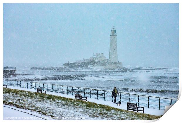 Whitley Bay lighthouse winter postcard Print by david siggens