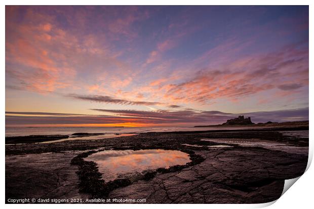 Bamburgh Northumberland love heart pool Print by david siggens