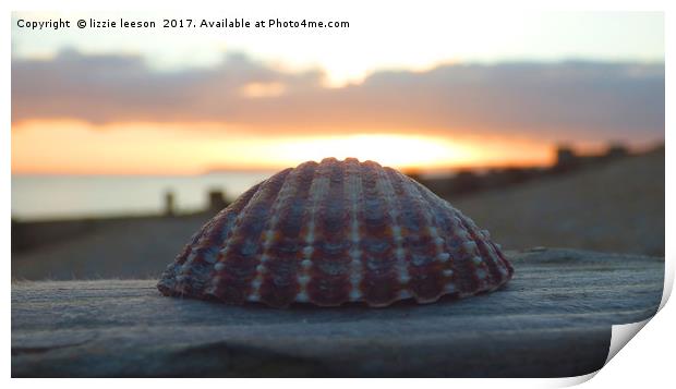 Beautigul shell against the sunset Print by lizzie leeson