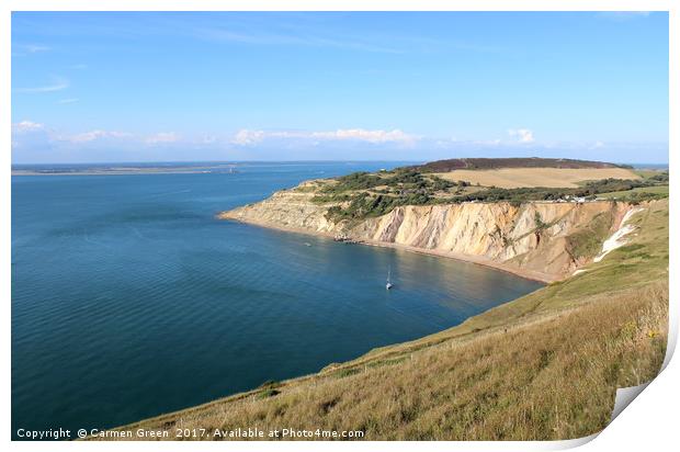View over Alum Bay from the Isle of Wight Needles  Print by Carmen Green