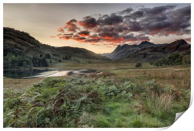 Blea tarn after sunset Print by Peter Scott