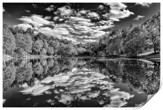 Reflections at Wyndhams Print by Colin Stock