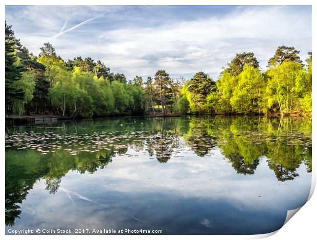 Reflections Print by Colin Stock