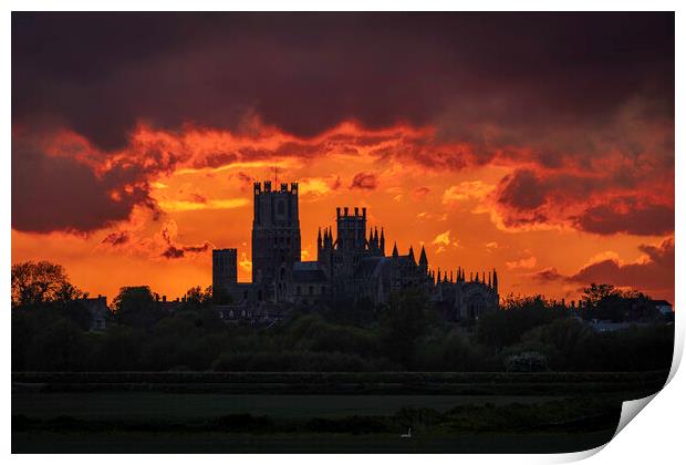 Illuminated Glory of Ely Cathedral Print by Andrew Sharpe