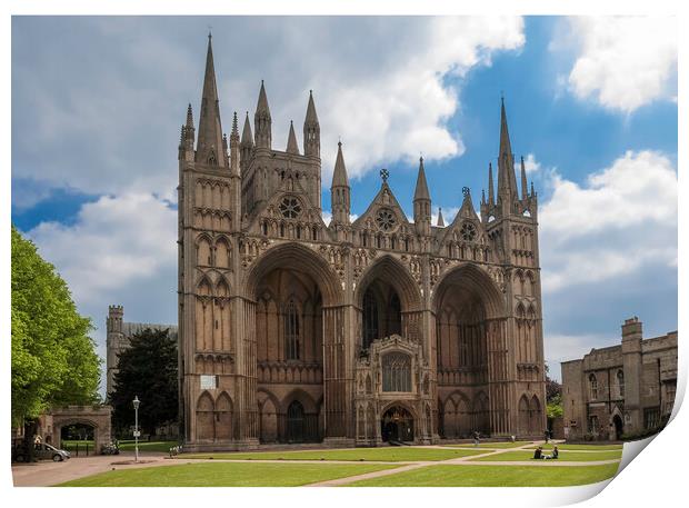 Peterborough Cathedral Print by Andrew Sharpe