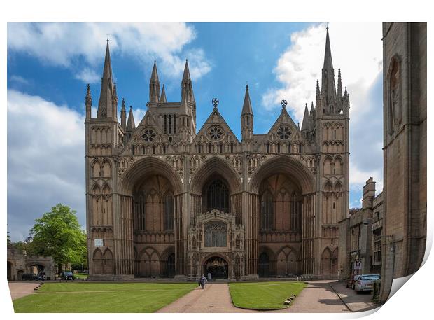 Peterborough Cathedral Print by Andrew Sharpe