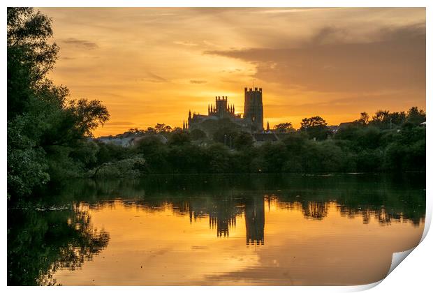 Sunset from Roswell Pits Nature Reserve, looking towards Ely Cat Print by Andrew Sharpe
