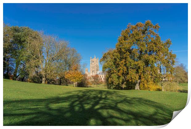 Sunny autumnal day in Ely, Cambridgeshire, 23rd November 2023 Print by Andrew Sharpe