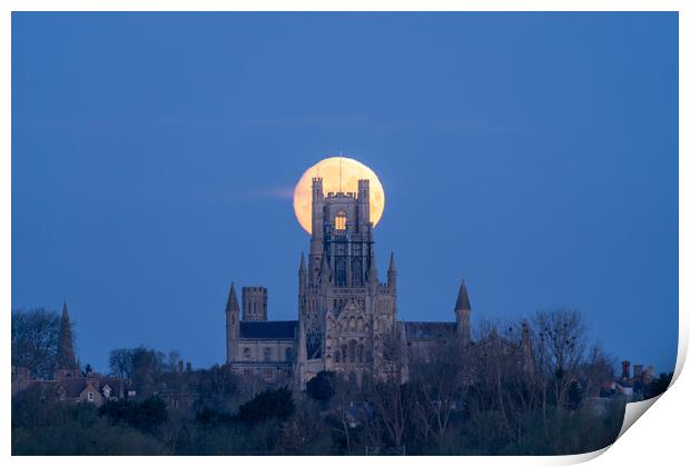 Moonset behind Ely Cathedral, 23rd March 2024 Print by Andrew Sharpe