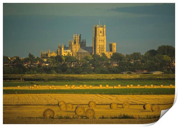 Glowing Ely Cathedral at Harvest Time Print by Andrew Sharpe