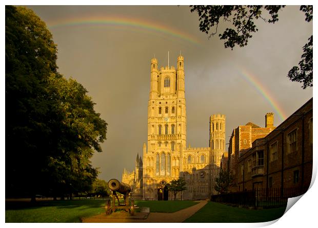Ely Cathedral, Cambridgeshire Print by Andrew Sharpe