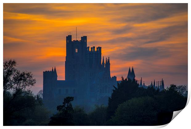 Ely Cathedral, at sunset Print by Andrew Sharpe